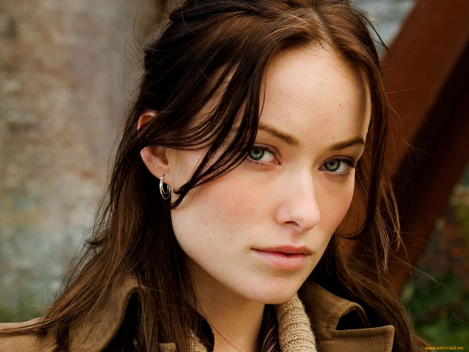 Olivia Wilde, 